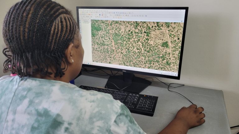 1 AfriGIS Satellite Image Size 768x432